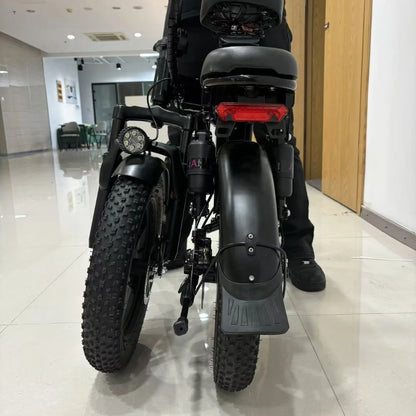 250W Wholesales 48v 20ah 16"*3.0" Mid-high-end Fat Tire Mountain Bike with CE Certified